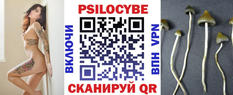 МЕГА онион  Уссурийск  Галлюциногенные грибы прущие грибы 
